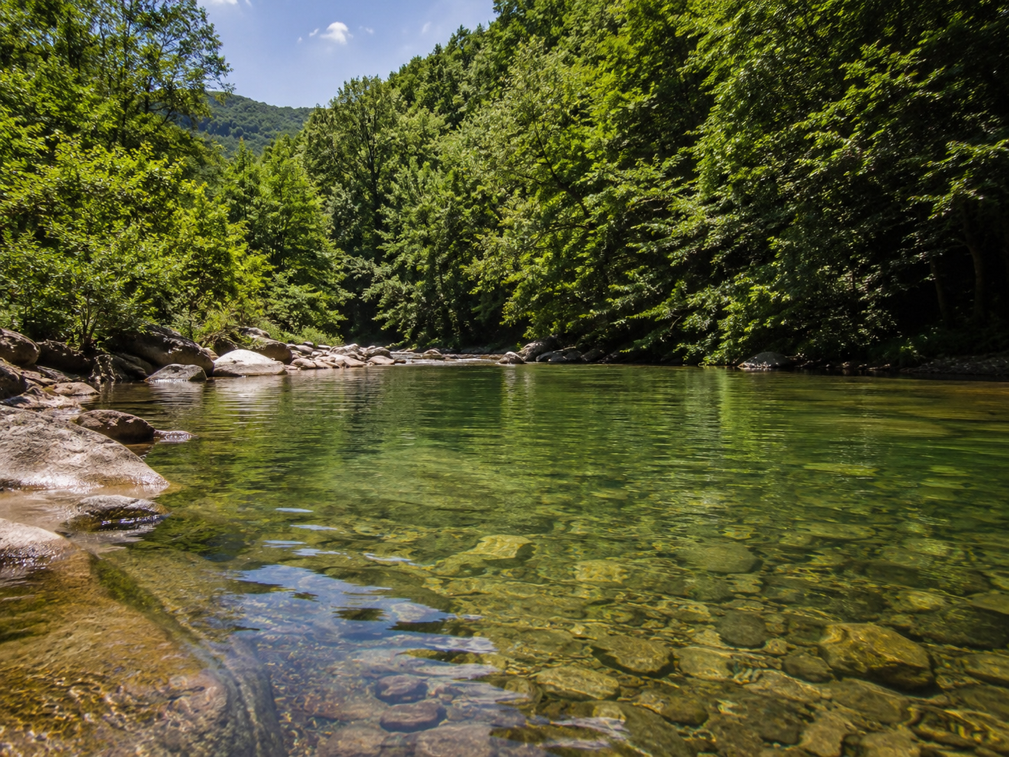 Clear mountain pool with stone bottom and forest banks
