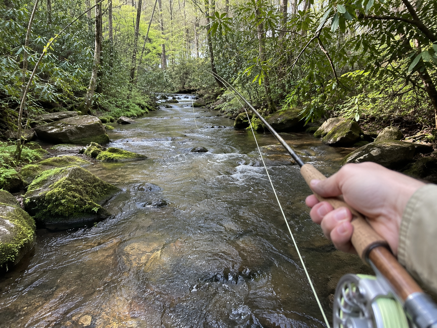 First-person fly cast over a narrow brush-lined trout stream